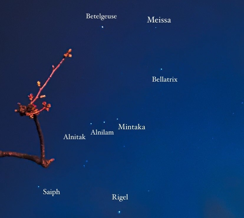 Bow and Scythe: An Exploration of&nbsp;Orion-Sah