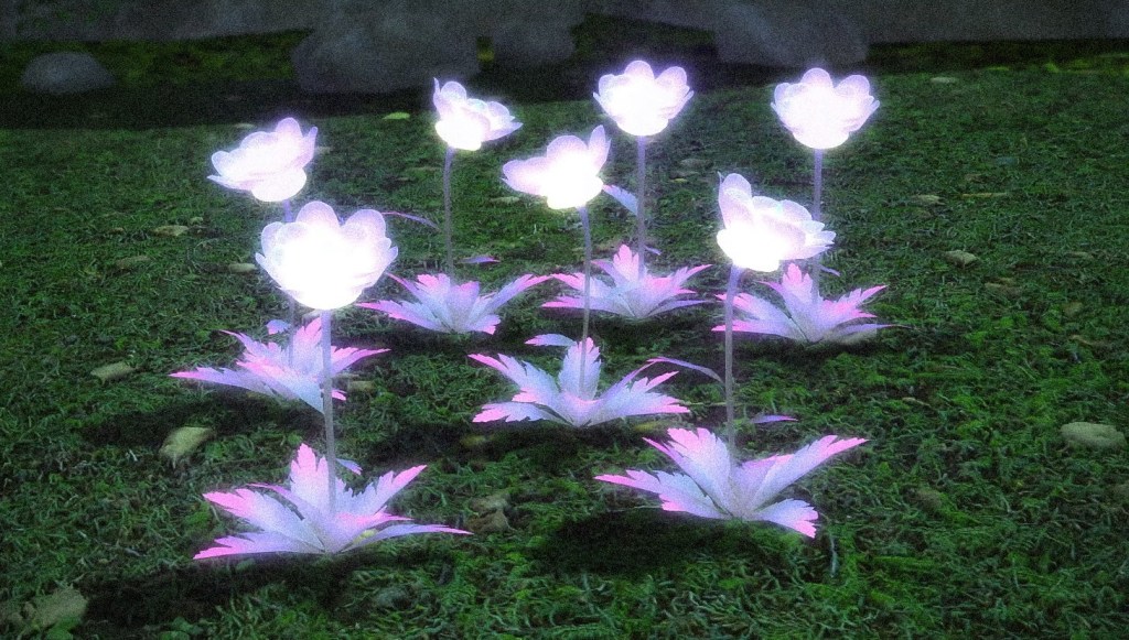 A Rite of Seating Starlight: on Fixed Star Castor and&nbsp;Linseed